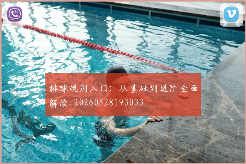 排球规则入门:从基础到进阶全面解读_20260528193033