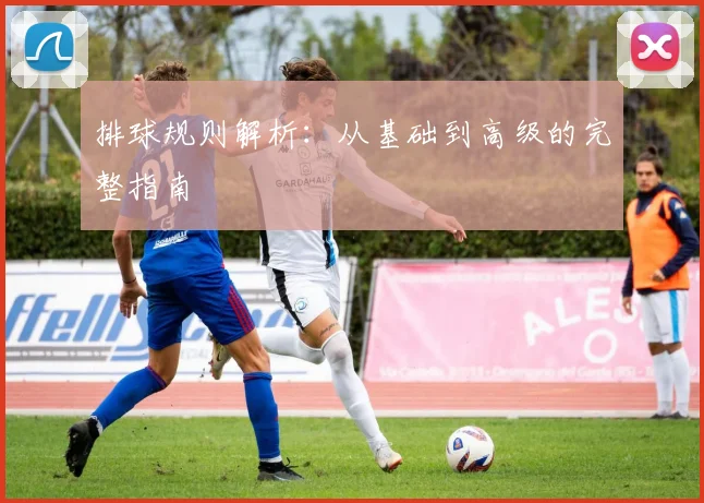 排球规则解析:从基础到高级的完整指南