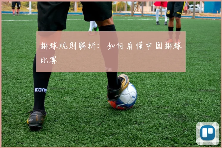 排球规则解析:如何看懂中国排球比赛