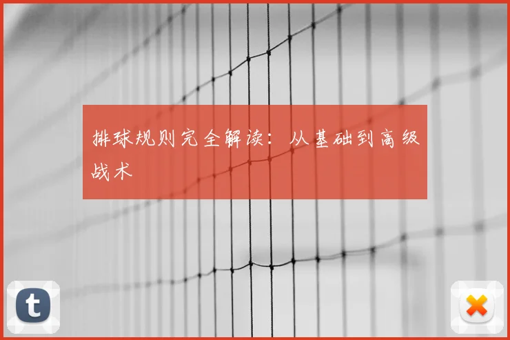 排球规则完全解读:从基础到高级战术